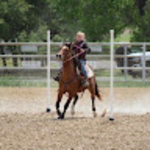 Meet your Posher, Will